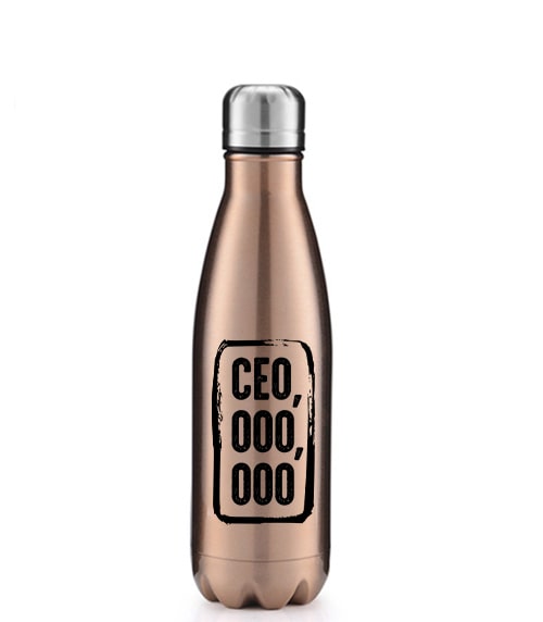 17oz Stainless Steel Water Bottle
